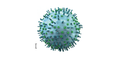 Mutaties en recombinaties van virussen om rekening mee te houden | Deel 2/4 over PRRS